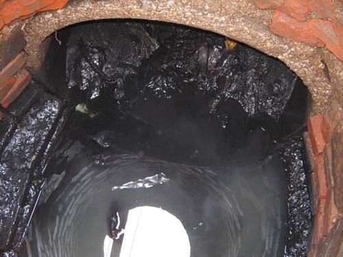 利津污水/雨水井清理